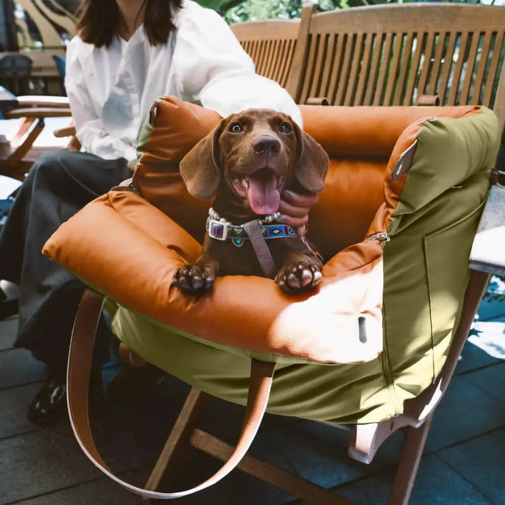 Pawtable Paws Premium Pet Travel Bed