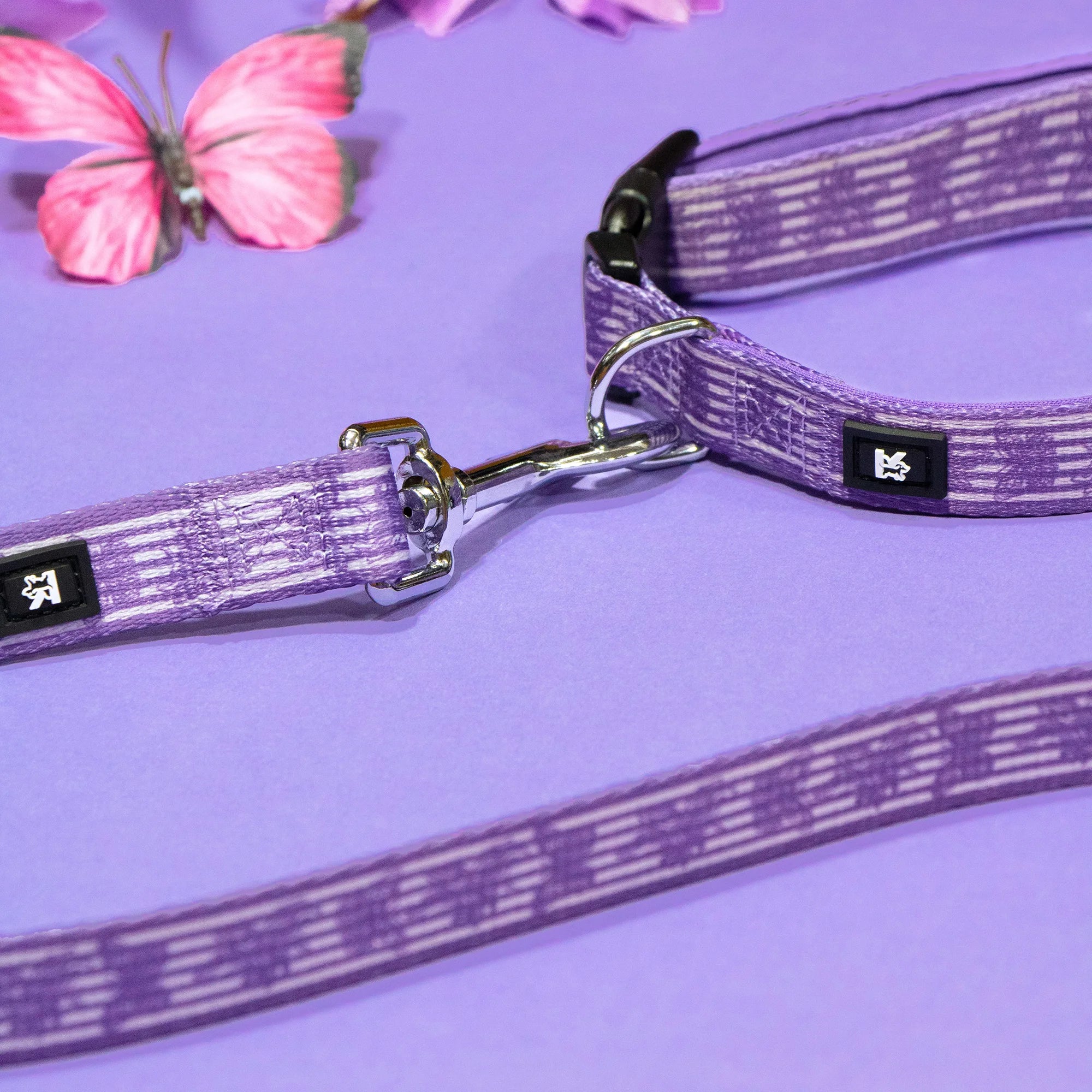 Pawtable Paws Everyday Training Harness Set